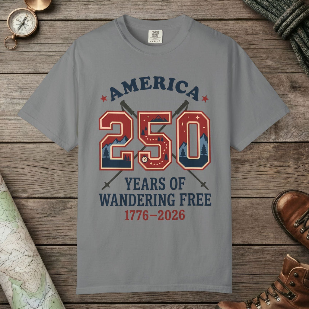 Grey color unisex graphic t-shirt with "250 Years" design