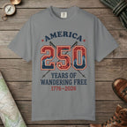 Grey color unisex graphic t-shirt with "250 Years" design