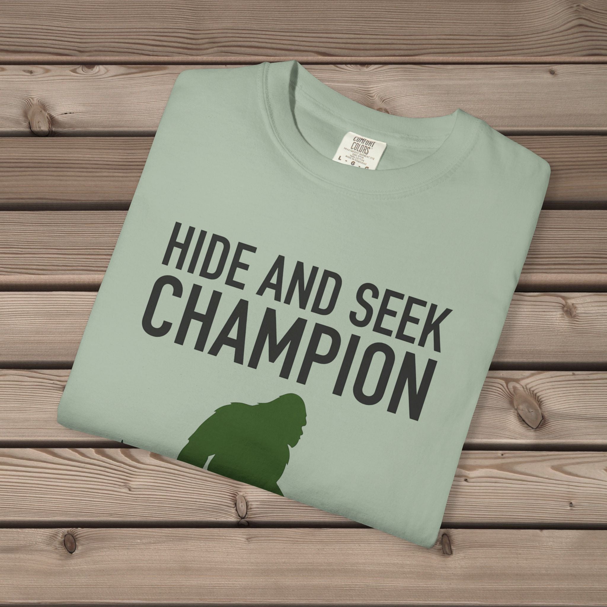 Hide And Seek Champion T-Shirt