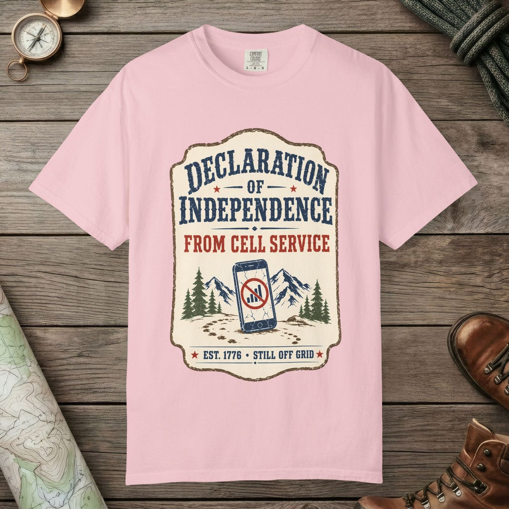 Declaration Of Independence T-Shirt