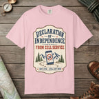 Declaration Of Independence T-Shirt