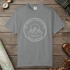 Grey color unisex graphic t-shirt with "Peace Within" design